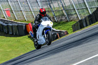 Oulton-Park-20th-March-2020;PJ-Motorsport-Photography-2020;anglesey;brands-hatch;cadwell-park;croft;donington-park;enduro-digital-images;event-digital-images;eventdigitalimages;mallory;no-limits;oulton-park;peter-wileman-photography;racing-digital-images;silverstone;snetterton;trackday-digital-images;trackday-photos;vmcc-banbury-run;welsh-2-day-enduro